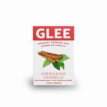 CINNAMON CHEWING GUM WITH CANE SUGAR, Size: 16 PIECES