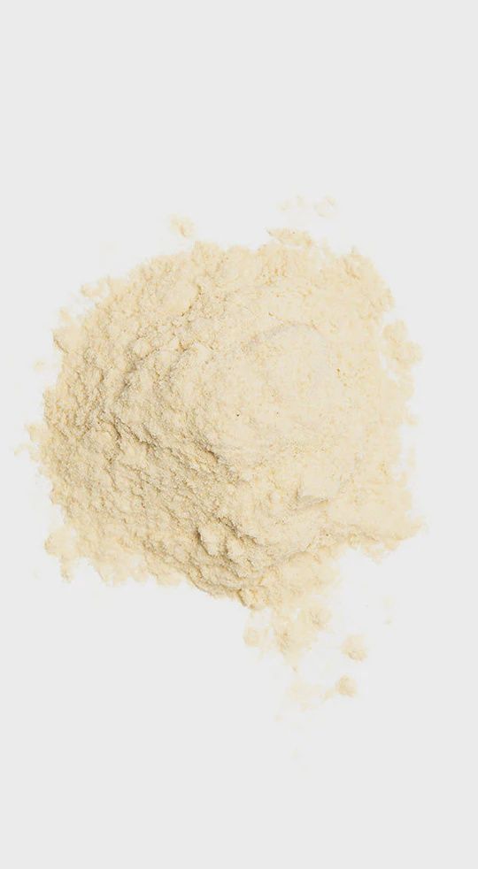 ORGANIC GARLIC POWDER, Size: 4 OZ