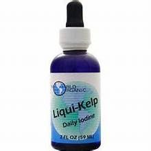 ORGANIC LIQUID KELP, Size: 2 FL OZ