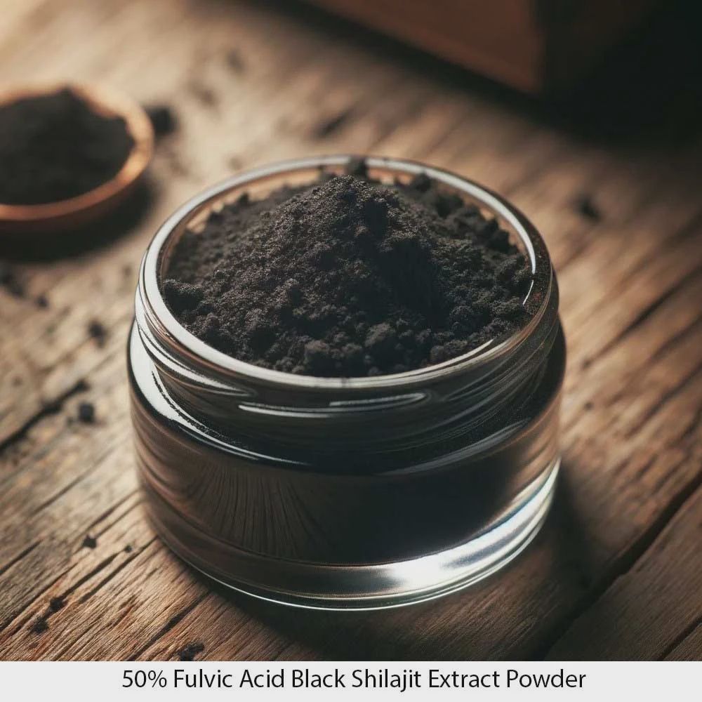SHILAJIT RESIN POWDER, Size: 0.7 OZ