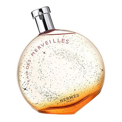 Hermes Eau Des Merveilles Eau De Toilette Spray 100ml Hermes Eau Des Merveilles Eau De Toilette Spray 100ml