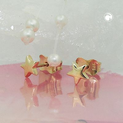 Ohrstecker Ohrring 5mm Stern glänzend 9Kt GOLD Ohrstecker Ohrring 5mm Stern glänzend 9Kt GOLD