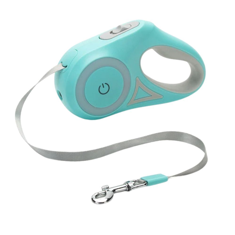 Automatic Retractable Lighting Dog Leash, Size: 3 meters, Color: Green