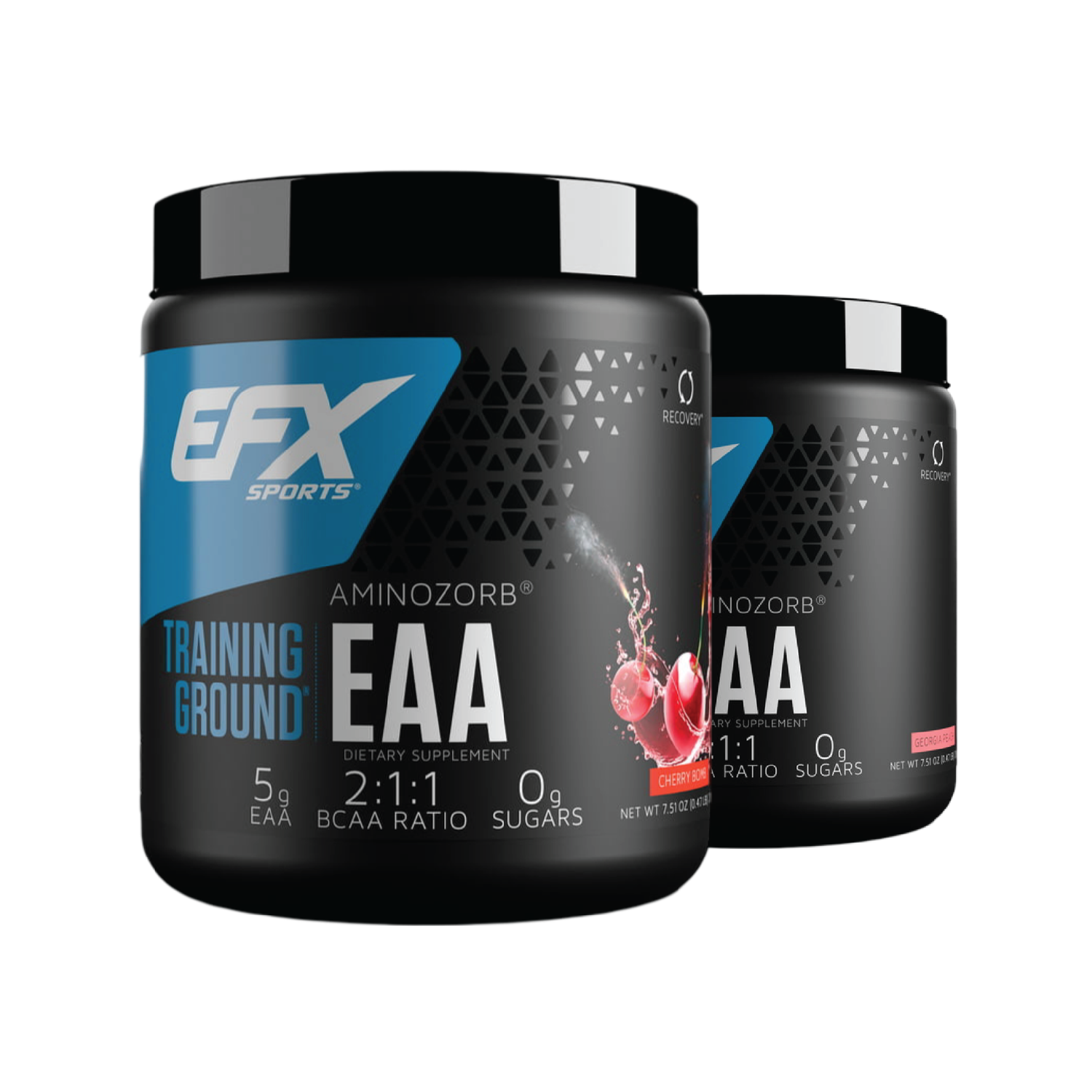 EFX SPORTS TRAINING GROUND EAA