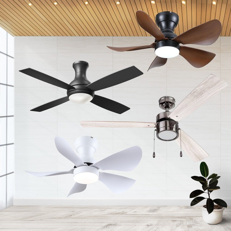 Ceiling Fans