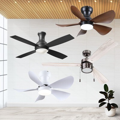 Ceiling Fans