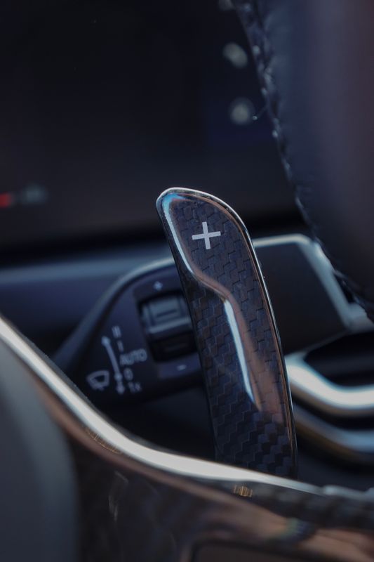 BMW Paddle shifters