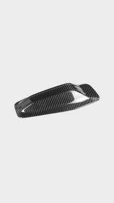 BMW carbon fiber