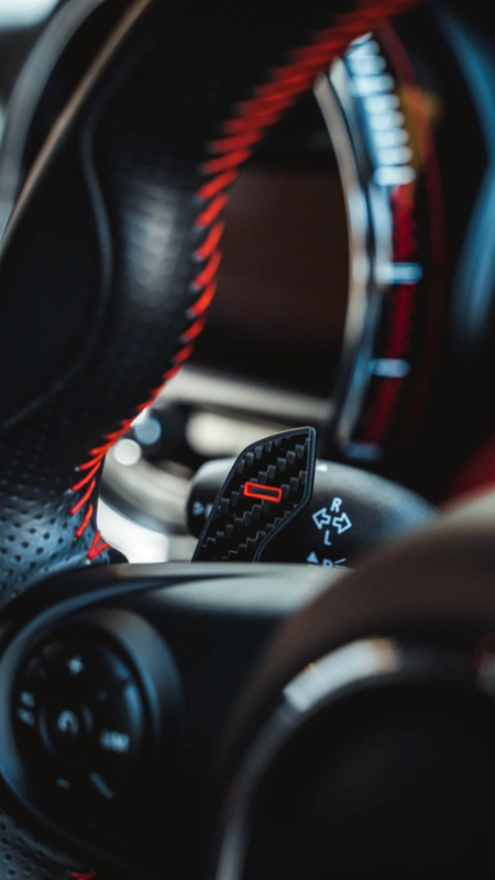 BMW Paddle shifters