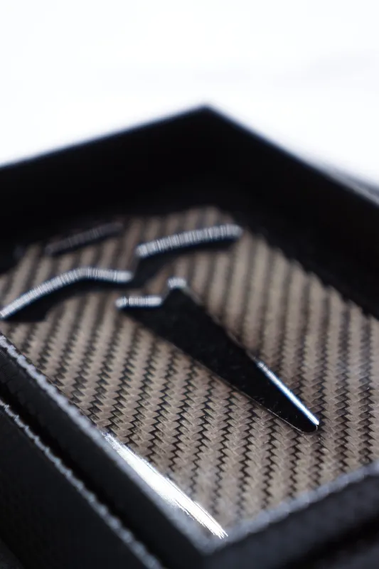 Card case Tesla