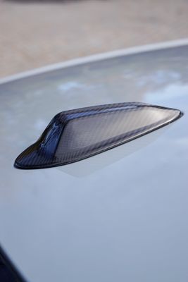 Antenna cover BMW
