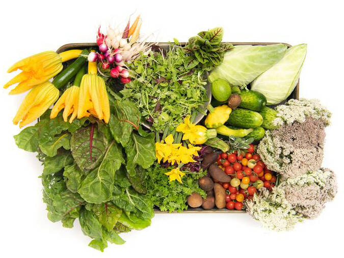 50 Packages to Feed the Hungry at Masbia and Receive a Box of In-Season Vegetables from the Farm