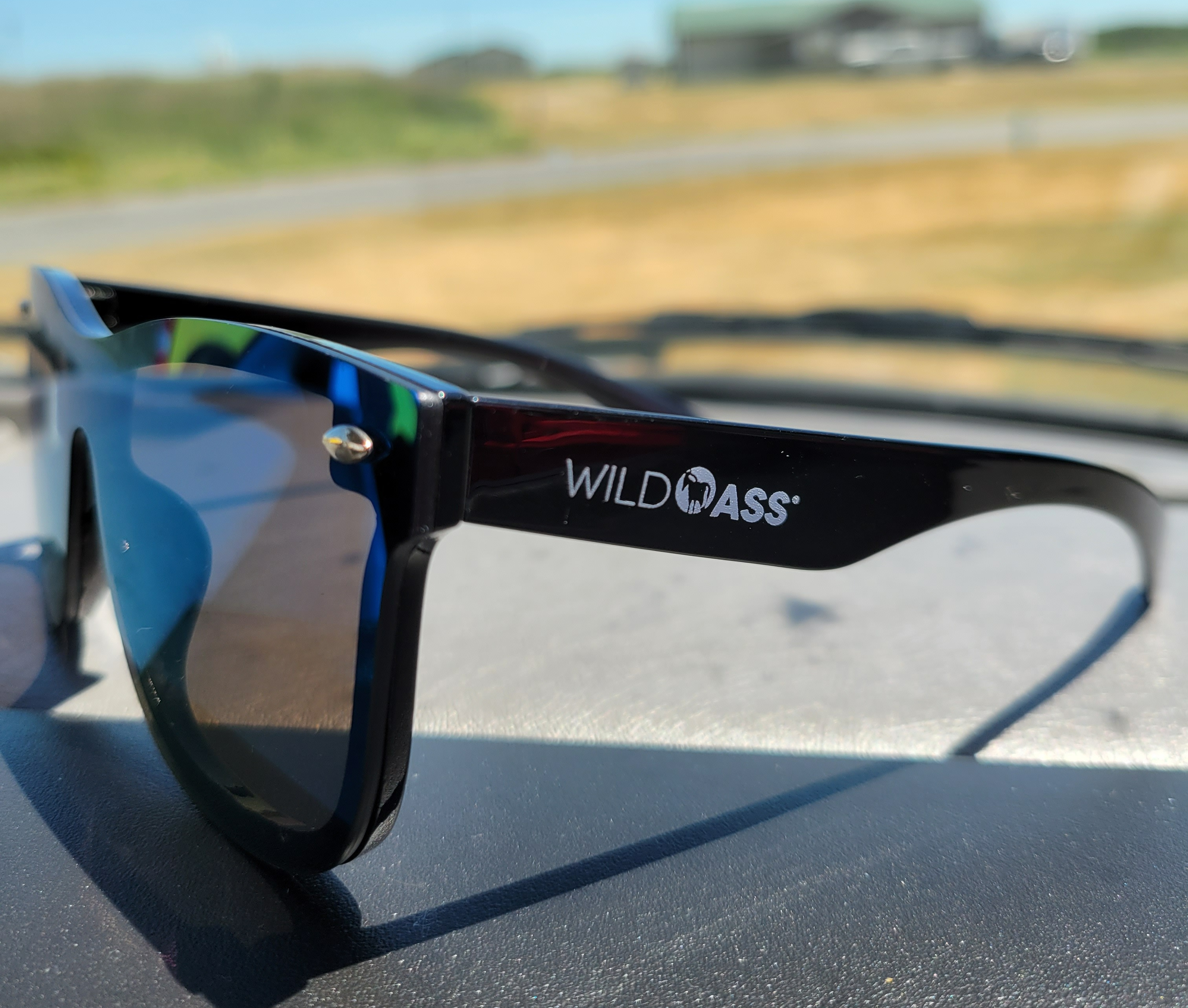 Wild Ass Sunglasses