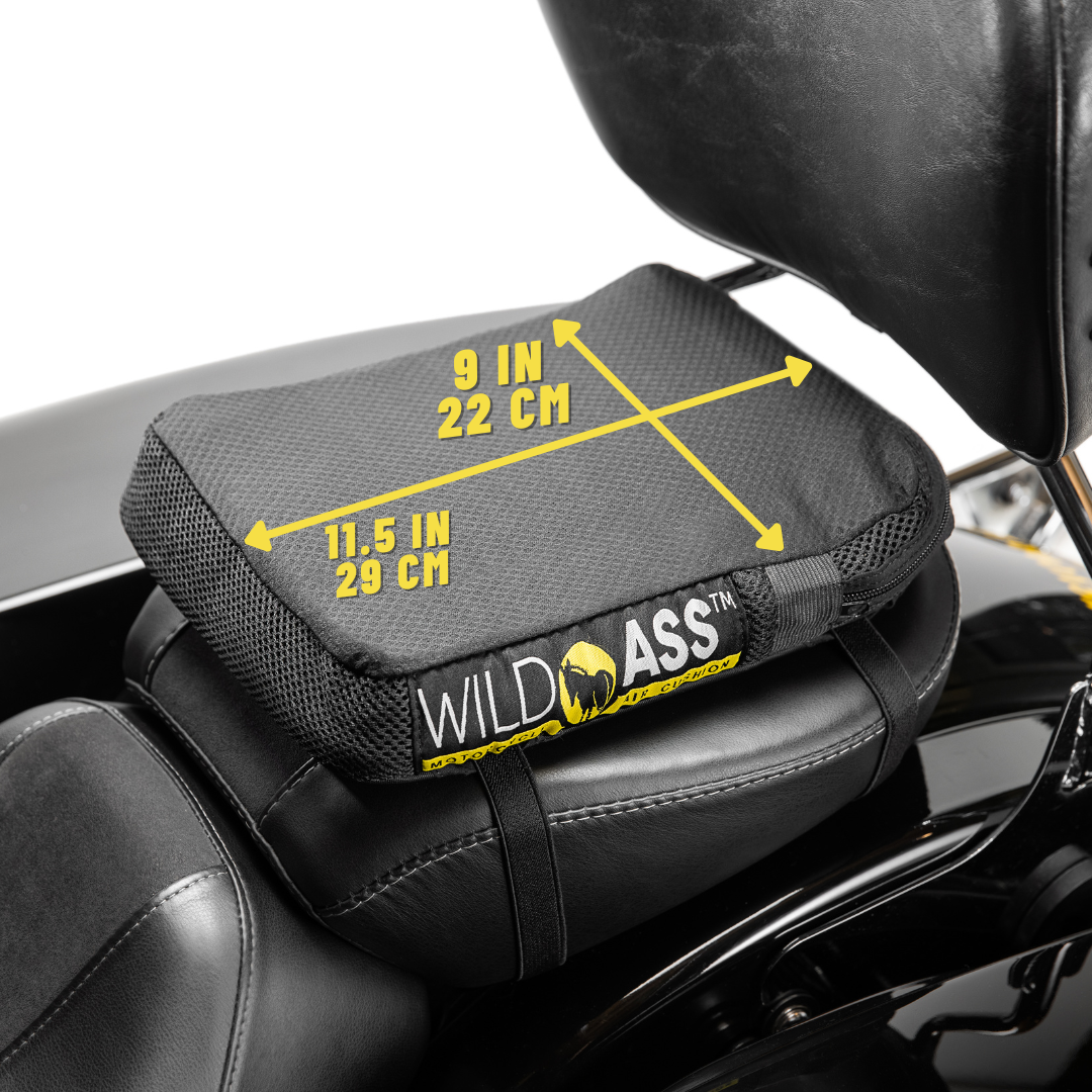 Motorcycle Seat Motorcycle Seat Pad Pillion Lite Cushion