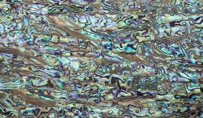 Flexible Abalone Sheet Lilac L240mm x W140mm HMF005