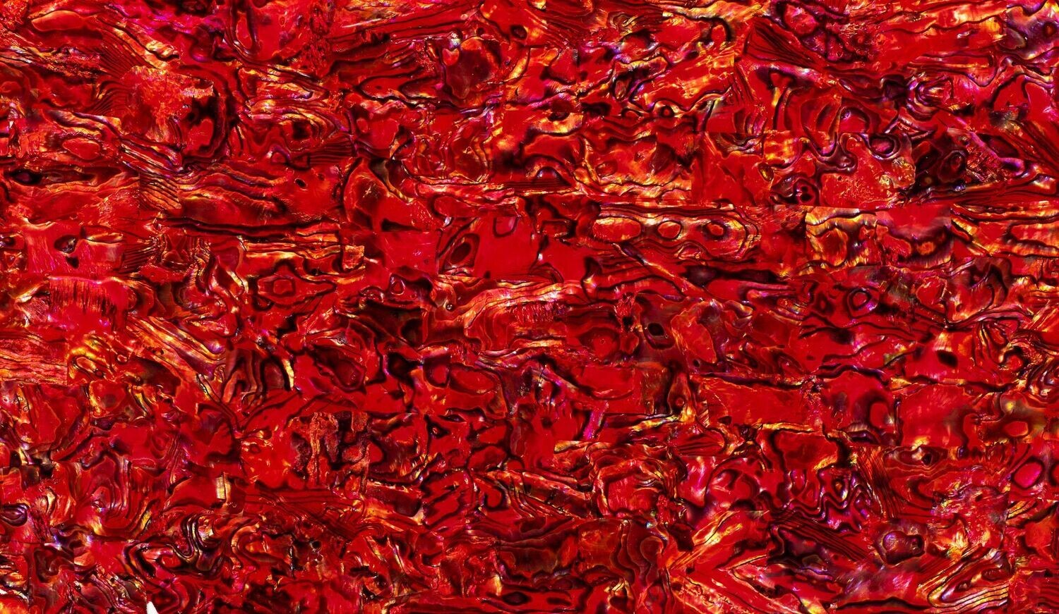 Vibrant Abalone Sheet - Red L240mm x W140mm HM036