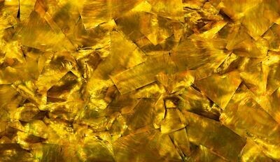 Mother of Pearl Sheet Golden Bronze L240mm x W140mm HM033