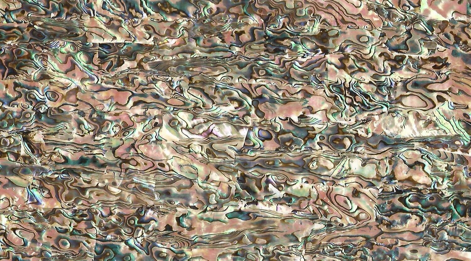 Abalone pearl L240mm x W140mm real shell sheet HM040