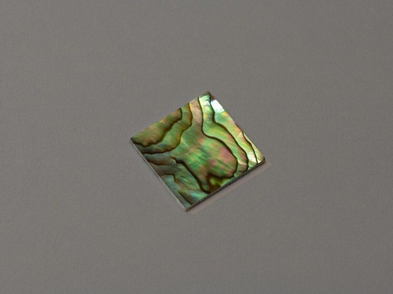 AAA+ Abalone shell squares 20 x 20 x 1.5mm. HMJ 302