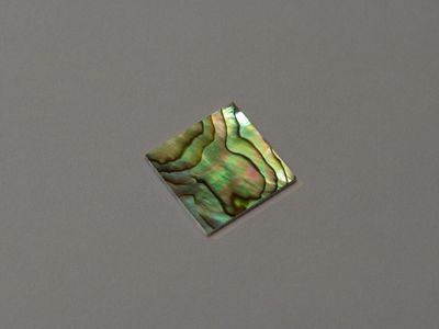AAA+ Abalone shell squares 20 x 20 x 1.5mm. HMJ 302