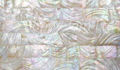 Abalone Real Shell Sheet River Shell L240mm x W140mm x D0.30mm HM004