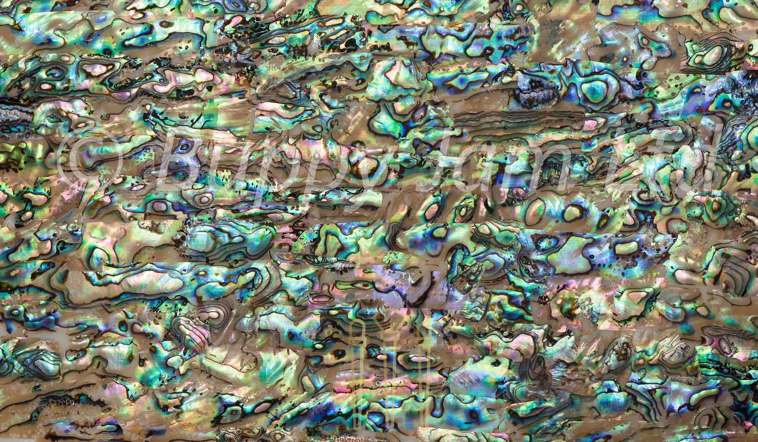 Abalone Real Shell Sheet Natural  L240mm x W140mm x D0.35mm HM012