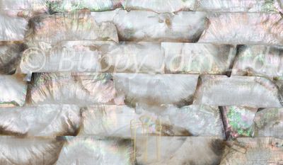 Mother Of Pearl Tawny Shell L240mm x W 140mm x T 0.15mm HM022