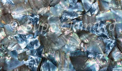 Mother of Pearl Real Shell Sheet Black Irregular - L240mm x W140mm x D0.37mm HM027