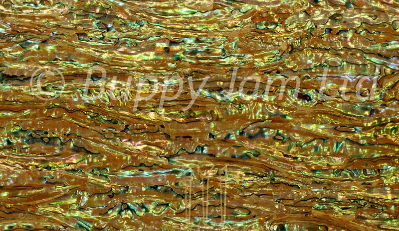 Abalone Sheet Chameleon Green  L240mm x W140mm HM032