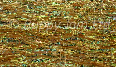 Abalone Sheet Chameleon Green  L240mm x W140mm HM032