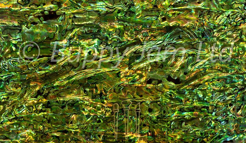 Abalone Sheet Green-Gold L240mm x W140mm HM031