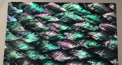 Beautiful Abalone Black Pearl Real Shell Sheet L240mm x W140mm HM058