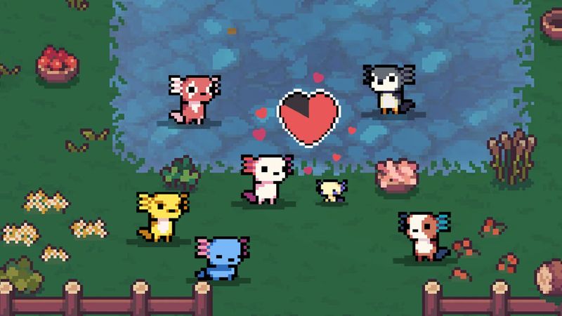 AK‑xolotl – Nintendo Switch