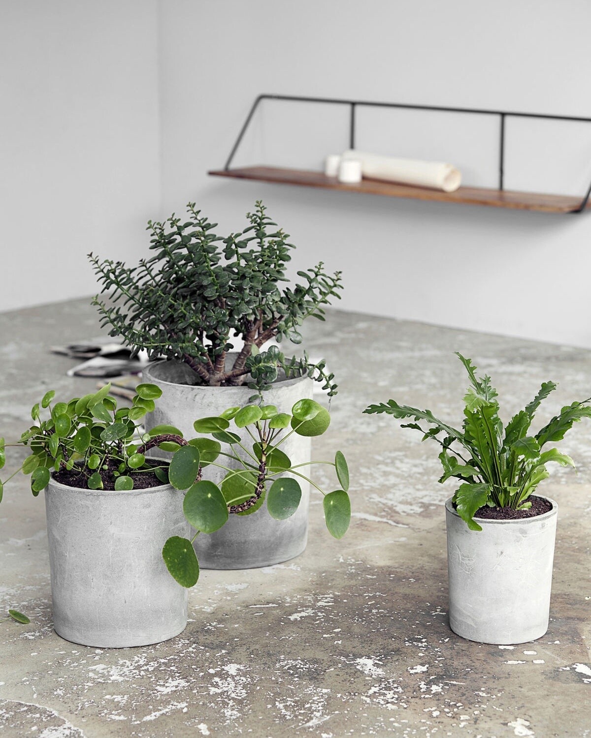 House Doctor | Planter, Ave (L)