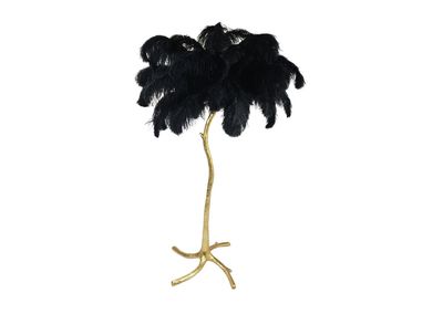 Vloer lamp feather