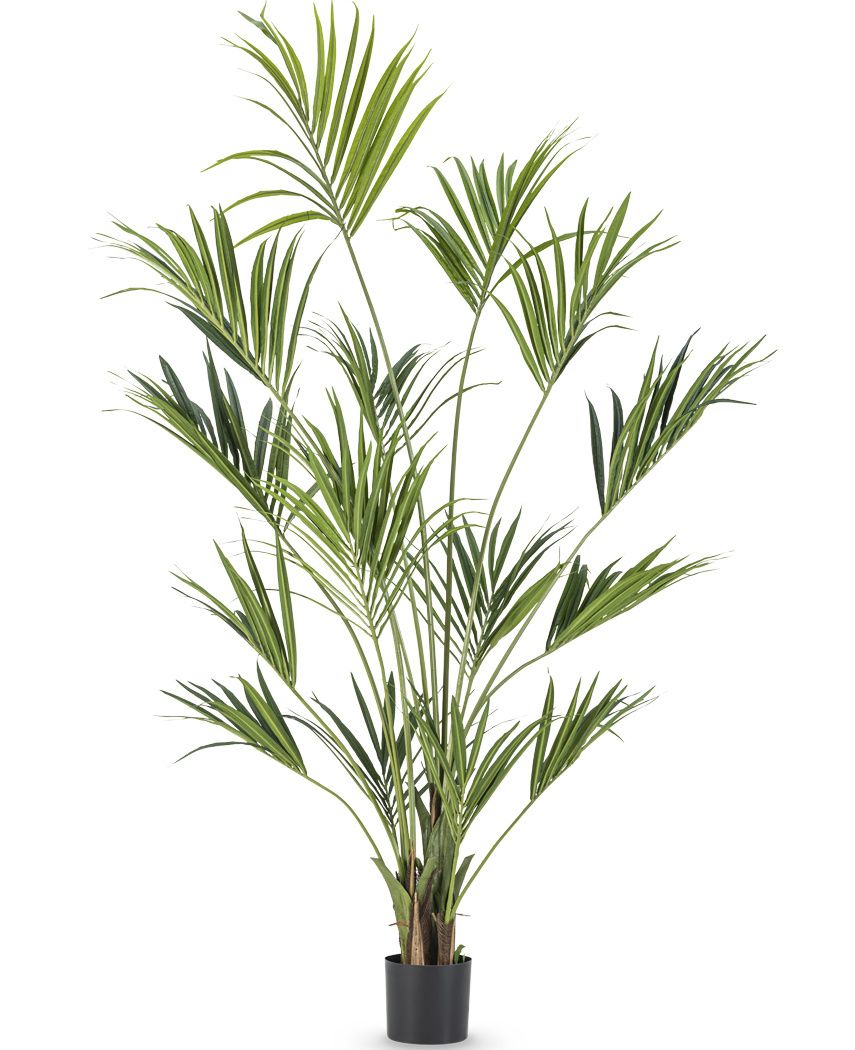 Kunstpalm Kentia 250 cm