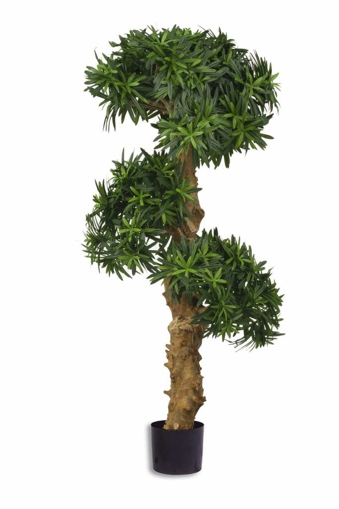 Kunstplant Podocarpus Bonsai 110 cm