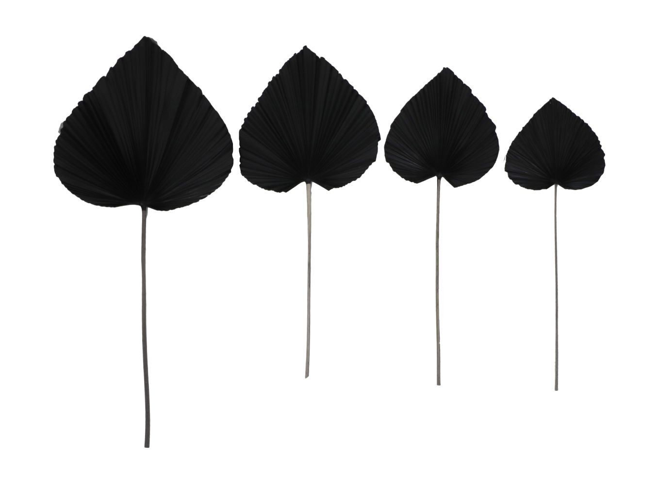 HSM Collection-Decoratief Palmblad S/4-120x43x1-Zwart/Naturel-Palmblad