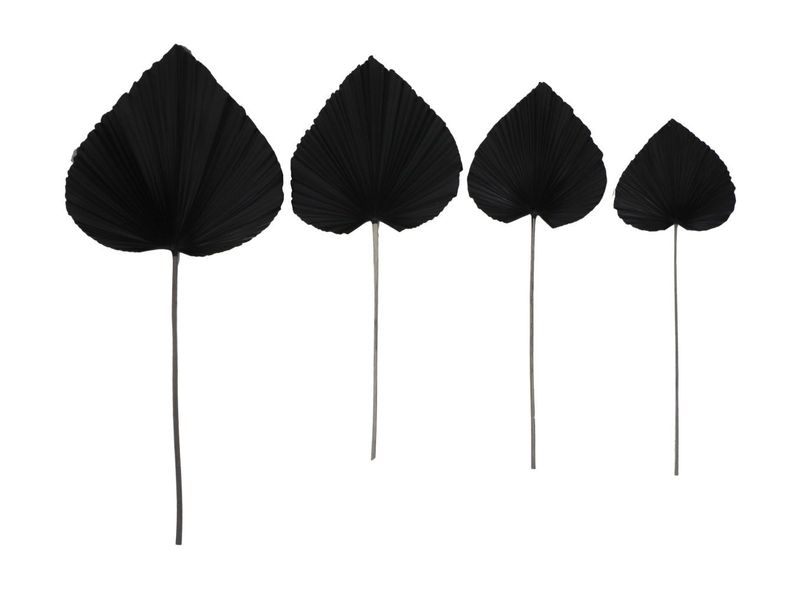 HSM Collection-Decoratief Palmblad S/4-120x43x1-Zwart/Naturel-Palmblad