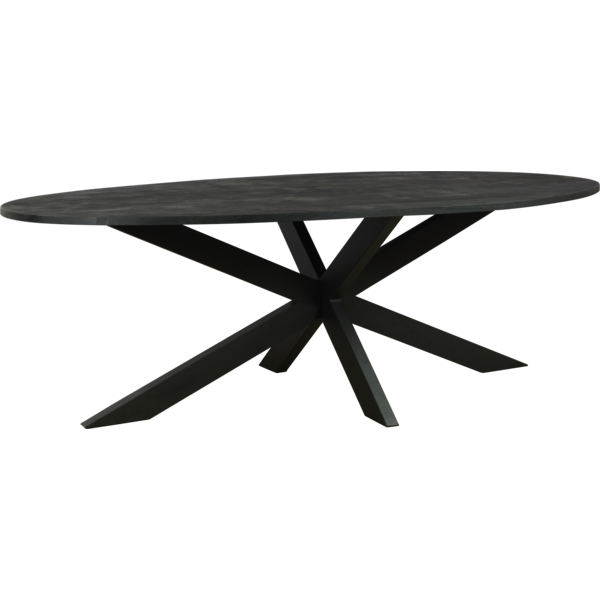 Bob eettafel ovaal 210x100 op=op=op