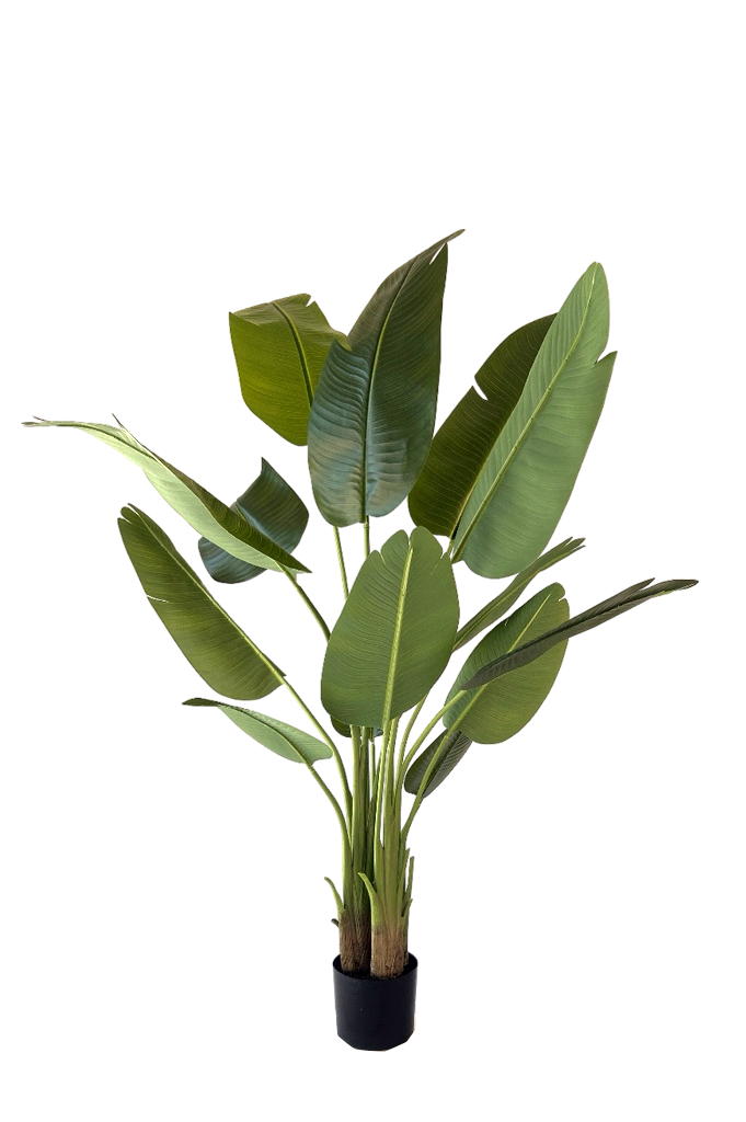 Kunstplant Strelitzia 150 cm real touch