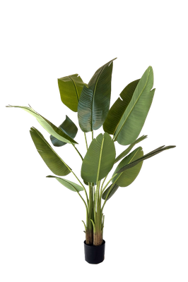 Kunstplant Strelitzia 150 cm real touch