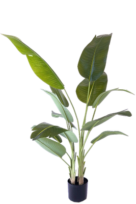 Kunstplant Strelitzia 200 cm real touch