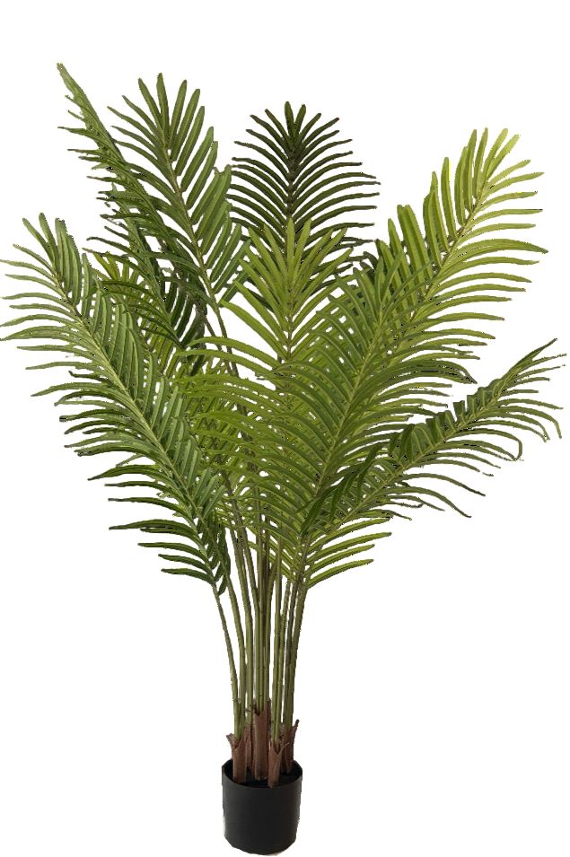 Kunstplant Palm Phoenix 160 cm