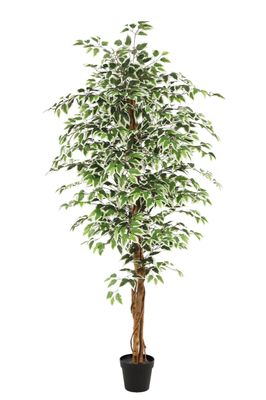 Kunstplant Ficus groen 180cm