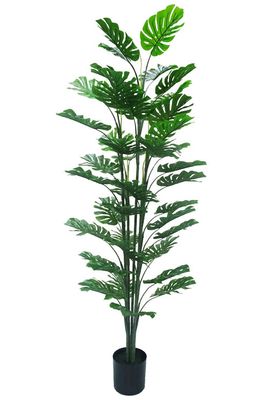 Monstera kunstplant 180 cm – Tropisch Zuid-Amerika