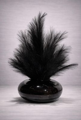 ​Vaas | Luxe pampa