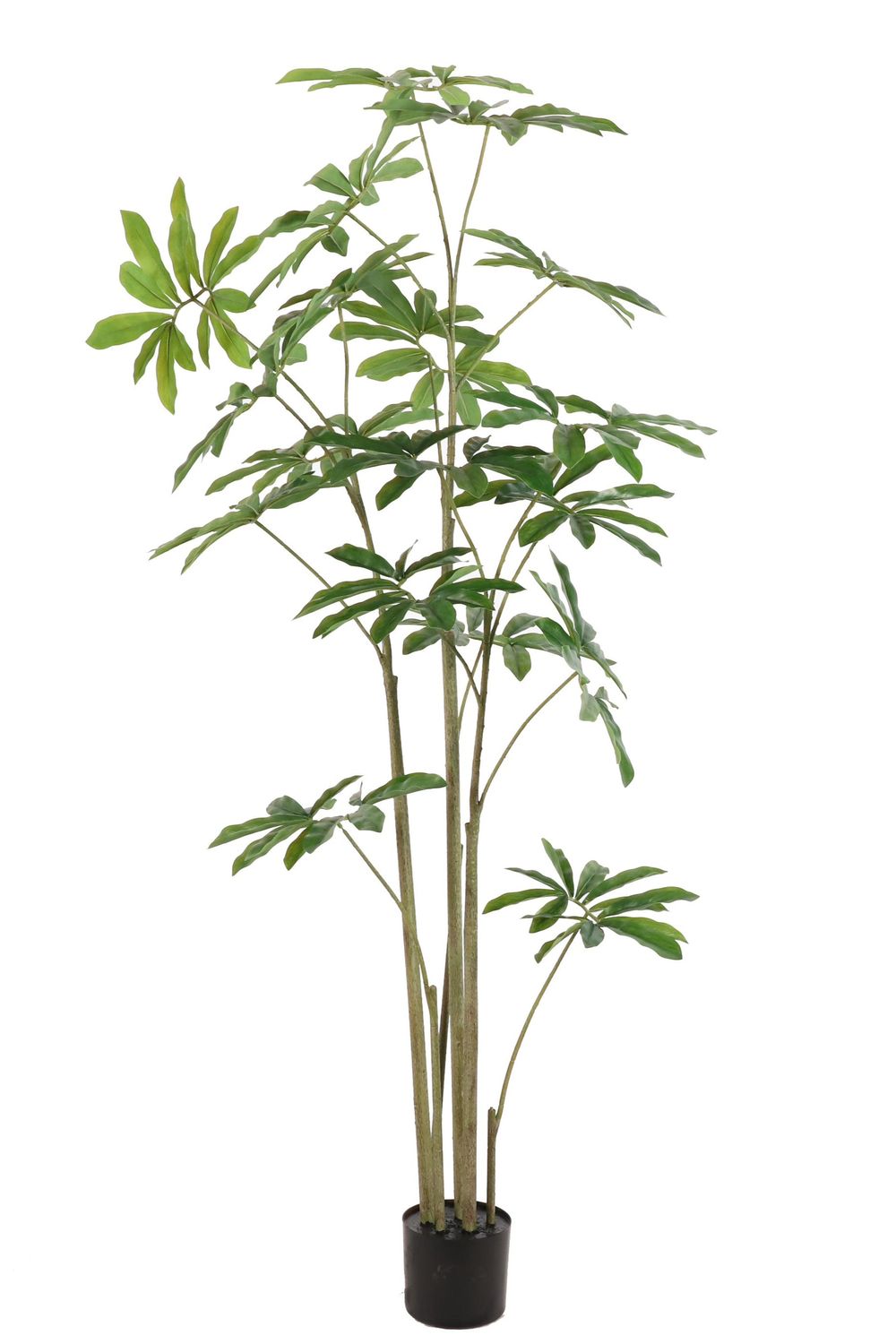 Philondendron kunstplant 180cm