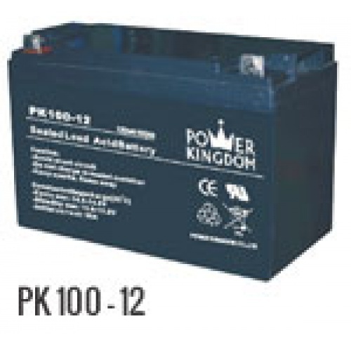 PK100 - 12 12V 100AH BATTERY