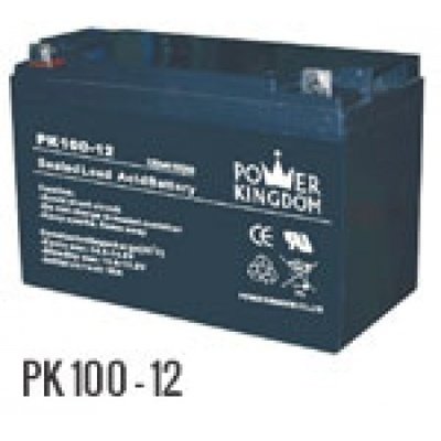 PK100 - 12 12V 100AH BATTERY